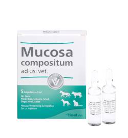 MUCOSA compositum ad us.vet.Ampullen 5 X 5 ml Ampullen von Biologische Heilmittel Heel GmbH