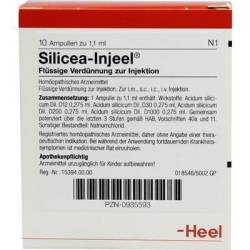 SILICEA INJEEL Ampullen 10 St von Biologische Heilmittel Heel GmbH