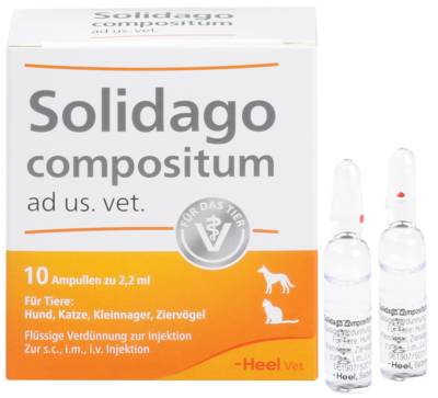 SOLIDAGO COMPOSITUM ad us.vet.Ampullen 10 St von Biologische Heilmittel Heel GmbH