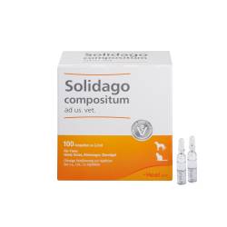 Solidago compositum ad us. vet. Ampullen von Biologische Heilmittel Heel GmbH