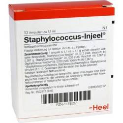 STAPHYLOCOCCUS INJEEL Ampullen 10 St von Biologische Heilmittel Heel GmbH