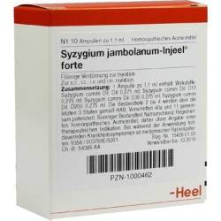 SYZYGIUM JAMBOLANUM INJEEL forte Ampullen 10 St von Biologische Heilmittel Heel GmbH