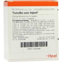 TONSILLA SUIS Injeel Ampullen 10 St von Biologische Heilmittel Heel GmbH