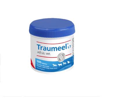 TRAUMEEL LT ad us.vet.Tabletten 500 St von Biologische Heilmittel Heel GmbH