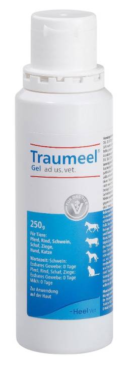 Traumeel Gel ad us. vet. von Biologische Heilmittel Heel GmbH