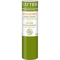 Cattier Lippenpflege - Olive & Mango von CATTIER