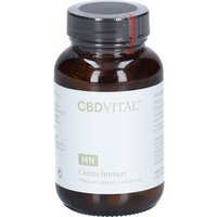 CBD Vital Cistus Immun von CBD VITAL