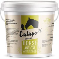 Calapo Horse Antioxi Schutzengerl von Calapo