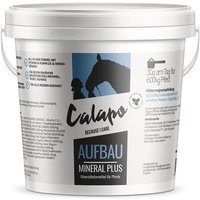 Calapo Horse Aufbau Mineral Plus von Calapo