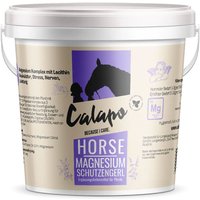 Calapo Horse Magnesium Schutzengerl von Calapo