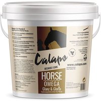 Calapo Horse Omega Glanz & Gloria von Calapo