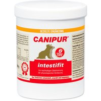 Canipur intestifit von Canipur