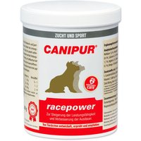 Canipur racepower von Canipur