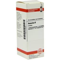 AESCULUS Urtinktur 20 ml von DHU-Arzneimittel GmbH & Co. KG