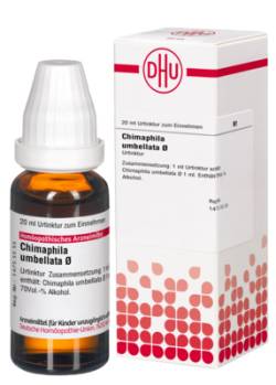 CHIMAPHILA UMBELLATA Urtinktur 20 ml von DHU-Arzneimittel GmbH & Co. KG