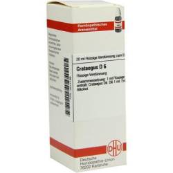 CRATAEGUS D 6 Dilution 20 ml von DHU-Arzneimittel GmbH & Co. KG