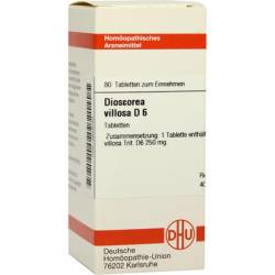 DIOSCOREA VILLOSA D 6 Tabletten 80 St von DHU-Arzneimittel GmbH & Co. KG