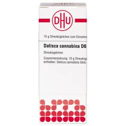 Datisca cannabina D6 von DHU-Arzneimittel GmbH & Co. KG