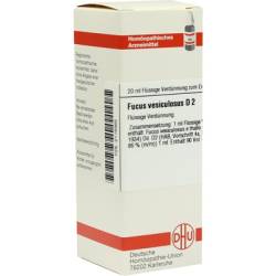 FUCUS VESICULOSUS D 2 Dilution 20 ml von DHU-Arzneimittel GmbH & Co. KG