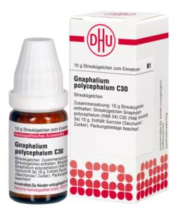 GNAPHALIUM POLYCEPHALUM C 30 Globuli 10 g von DHU-Arzneimittel GmbH & Co. KG