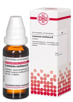 LEONURUS CARDIACA Urtinktur 20 ml von DHU-Arzneimittel GmbH & Co. KG