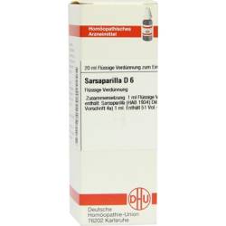 SARSAPARILLA D 6 Dilution 20 ml von DHU-Arzneimittel GmbH & Co. KG