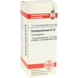 SCOLOPENDRIUM D 12 Globuli 10 g von DHU-Arzneimittel GmbH & Co. KG