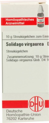 SOLIDAGO VIRGAUREA D 4 Globuli von DHU-Arzneimittel GmbH & Co. KG