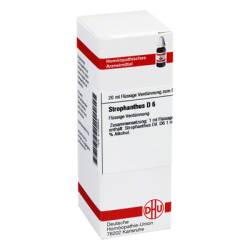 STROPHANTHUS D 6 Dilution 20 ml von DHU-Arzneimittel GmbH & Co. KG
