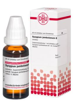 SYZYGIUM JAMBOLANUM Urtinktur D 1 20 ml von DHU-Arzneimittel GmbH & Co. KG
