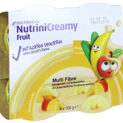 NUTRINI Creamy Fruit Sommerfrüchte 4 X 100 g ohne von Danone Deutschland Gmbh