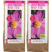 Zistrose Bio Tee von Dr. Pandalis