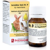 Schüßler Salz Nr. 9 für Heimtiere Natrium phosphoricum D6 von Dr. Reckeweg