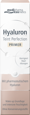 HYALURON TEINT Perfection Primer 30 ml von Dr. Theiss Naturwaren GmbH