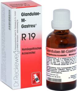 GLANDULAE-M-Gastreu R19 Mischung 22 ml von Dr.RECKEWEG & Co. GmbH