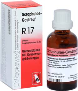 SCROPHULAE-Gastreu R17 Mischung 50 ml von Dr.RECKEWEG & Co. GmbH