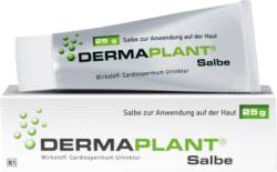 DERMAPLANT Salbe 25 g von Dr.Willmar Schwabe GmbH & Co.KG