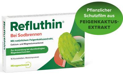 REFLUTHIN bei Sodbrennen Kautabletten Minze 16 St von Dr.Willmar Schwabe GmbH & Co.KG