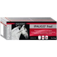 Equistro® Ipaligo Foal von EQUISTRO