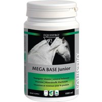 Equistro® Mega Base Junior von EQUISTRO