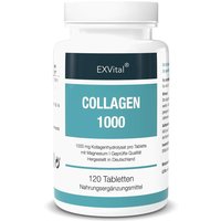 EXVital® Collagen Tabletten 1000 mg hydrolysat von EXVital