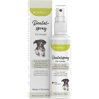 EXVital® Dentalspray für Hunde gegen Zahnbelag Zahnstein & Mundgeruch von EXVital