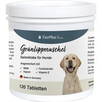 EXVital® Grünlippmuschel Plus - Gelenktabletten für Hunde von EXVital