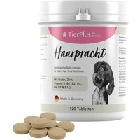 EXVital® Haarpracht Tabletten - hochdosiertes Biotin Komplex für Hunde von EXVital