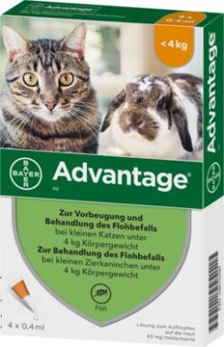 ADVANTAGE 40 mg Lsg.f.kl.Katzen/kl.Zierkaninchen 4X0.4 ml von Elanco Deutschland GmbH