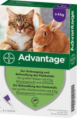 ADVANTAGE 80 mg f.gr.Katzen u.gr.Zierkaninchen 4X0.8 ml von Elanco Deutschland GmbH