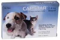 CAPSTAR 11,4 mg Tabletten f.Katzen/kleine Hunde 6 St von Elanco Deutschland GmbH