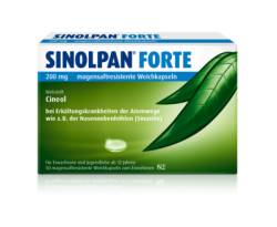SINOLPAN forte 200 mg magensaftres.Weichkapseln 50 St von Engelhard Arzneimittel GmbH & Co.KG