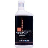 equinova Myoprotect Liquid von Equinova