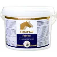 Equipur fohlen von Equipur